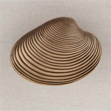Acorn Mfg Artisan Collection Clam Shell Knob, Antique Pewter DP3PP
